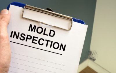 How to Prepare for Your Mold Inspection