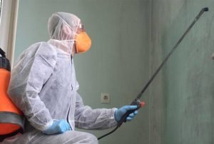 mold removal company pigeon forge tn